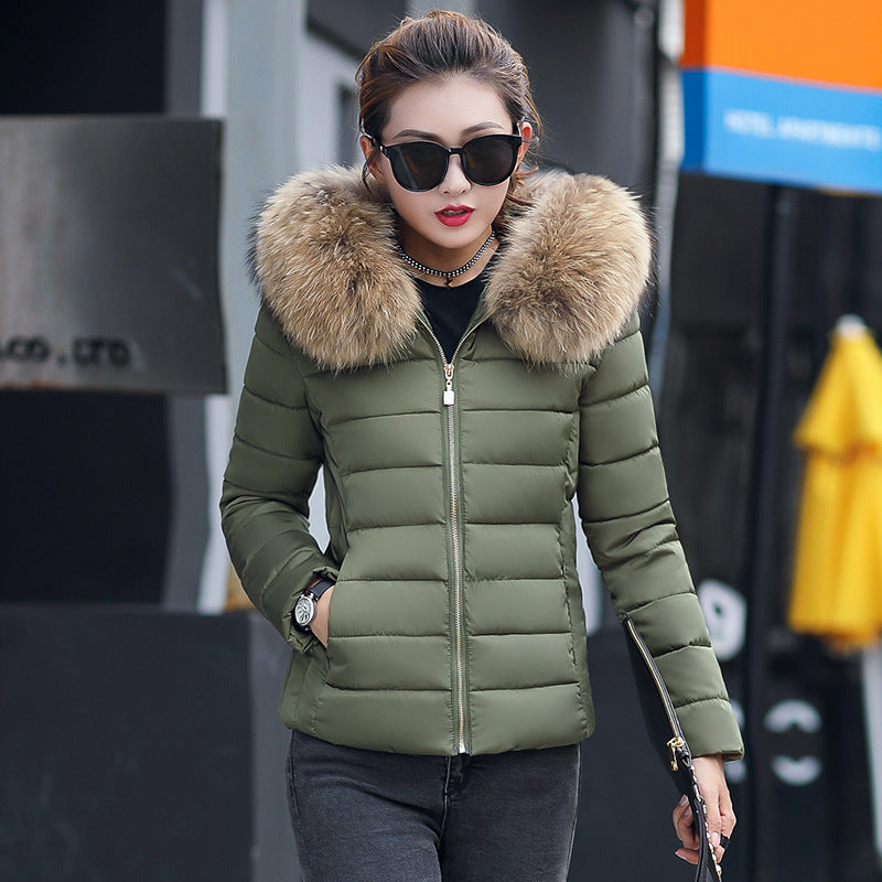 Slim cotton padded jacket and down jacket - L&M LIFE PRODUCTS