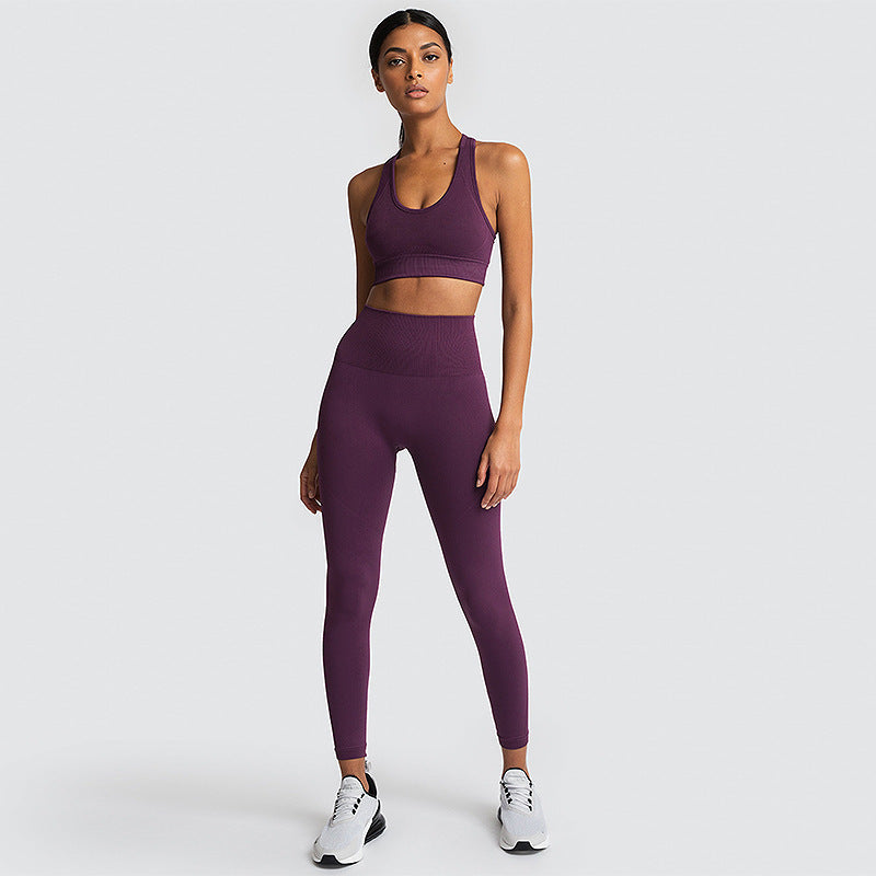 Seamless Gym Set Nylon Woman Sportswear - L&M LIFE PRODUCTS