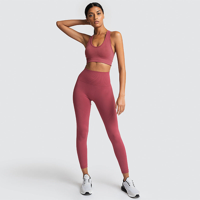 Seamless Gym Set Nylon Woman Sportswear - L&M LIFE PRODUCTS