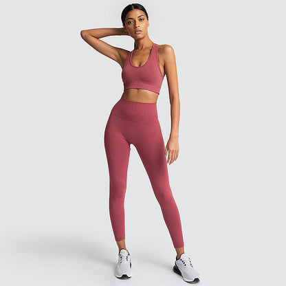 Seamless Gym Set Nylon Woman Sportswear - L&M LIFE PRODUCTS