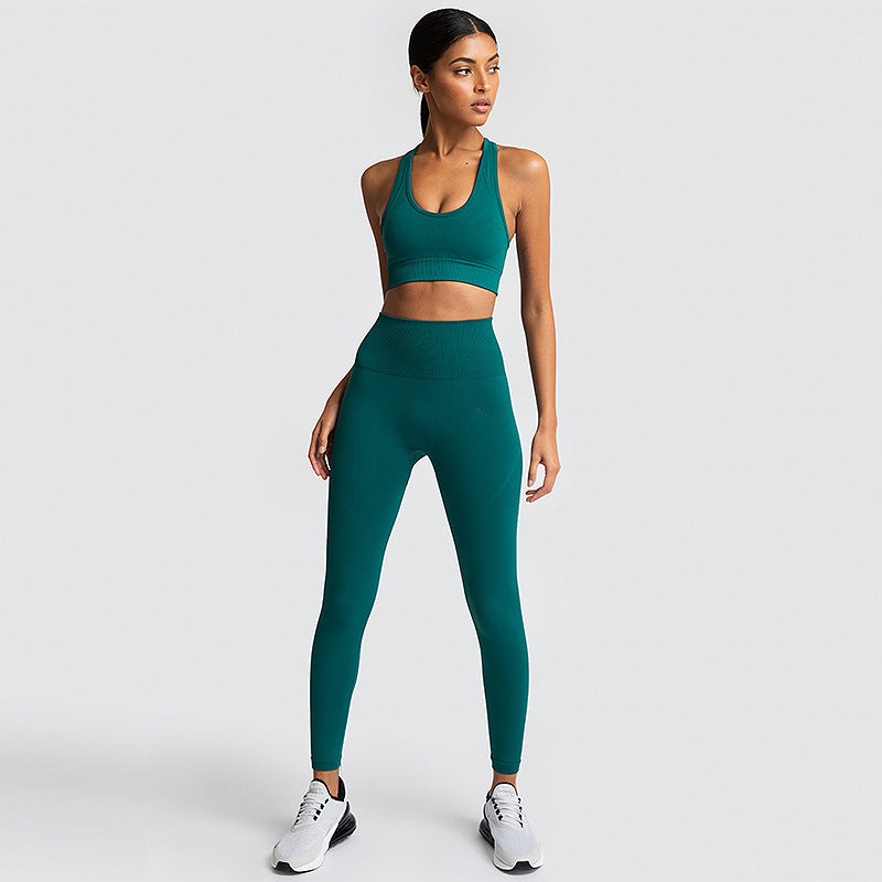 Seamless Gym Set Nylon Woman Sportswear - L&M LIFE PRODUCTS
