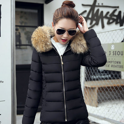 Slim cotton padded jacket and down jacket - L&M LIFE PRODUCTS