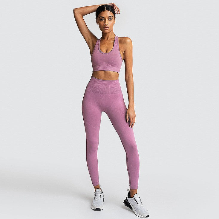Seamless Gym Set Nylon Woman Sportswear - L&M LIFE PRODUCTS